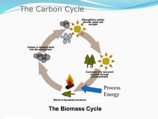 Renewable Energy Institute - Biomass Course Qualification