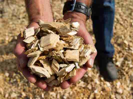Renewable Energy Institute - Biomass Course Training