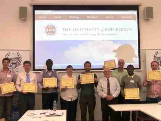 Renewable Energy Institute Consultant Expert Certificate - Energy Efficiency Cropped