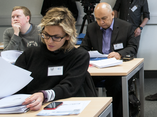 Renewable Energy Institute Consultant Expert Certificate - Renewable Energy Cropped (1)