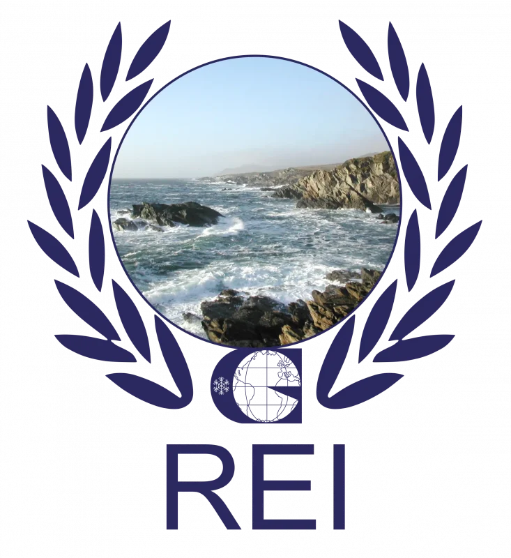 The Renewable Energy Institute