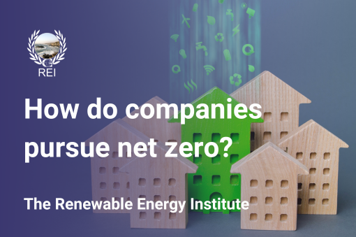pursue net zero