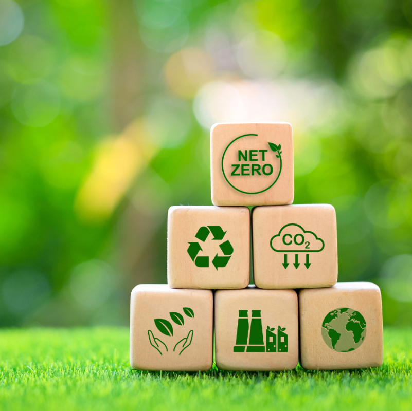 Net Zero Targets