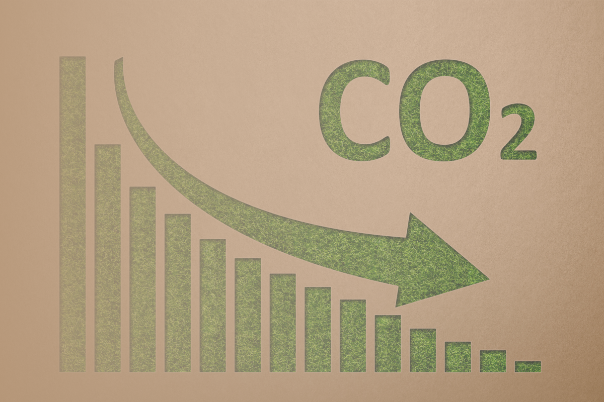 decrease in carbon dioxide emissions