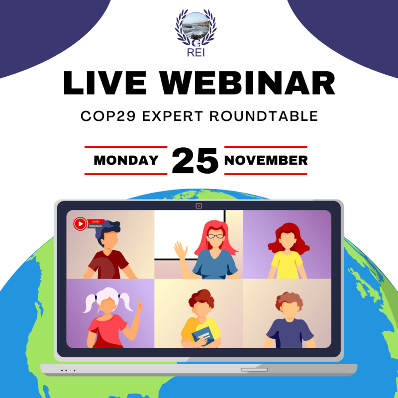COP29 Baku: online expert-led webinar roundtable discussion